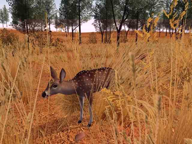 Deer hunter 2005 download mac